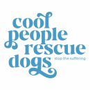 Cool People Rescue Dogs Standard Tee White