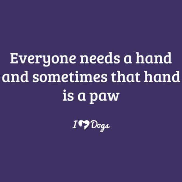 Everyone Needs A Hand And Sometimes That Hand Is A Paw Standard Tee Purple - Image 2