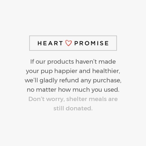 Love Is Free Just Adopt And See iHeartDogs Standard Tee Yellow - Image 3