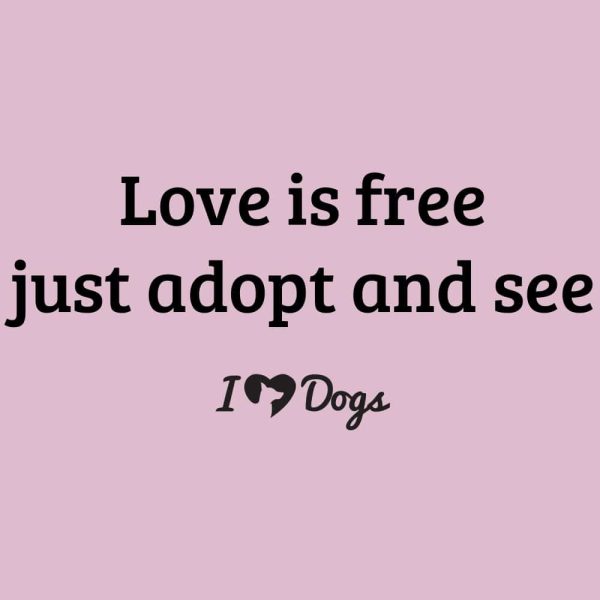 Love Is Free Just Adopt And See iHeartDogs Standard Tee Light Pink - Image 2