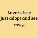 Love Is Free Just Adopt And See iHeartDogs Standard Tee Yellow