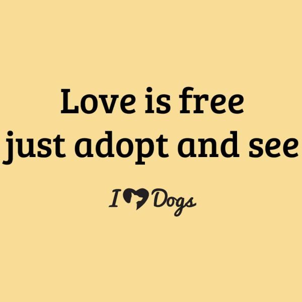 Love Is Free Just Adopt And See iHeartDogs Standard Tee Yellow - Image 2
