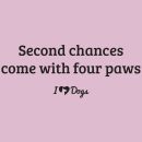 Second Chances Come with Four Paw iHeartDogs Standard Tee Light Pink