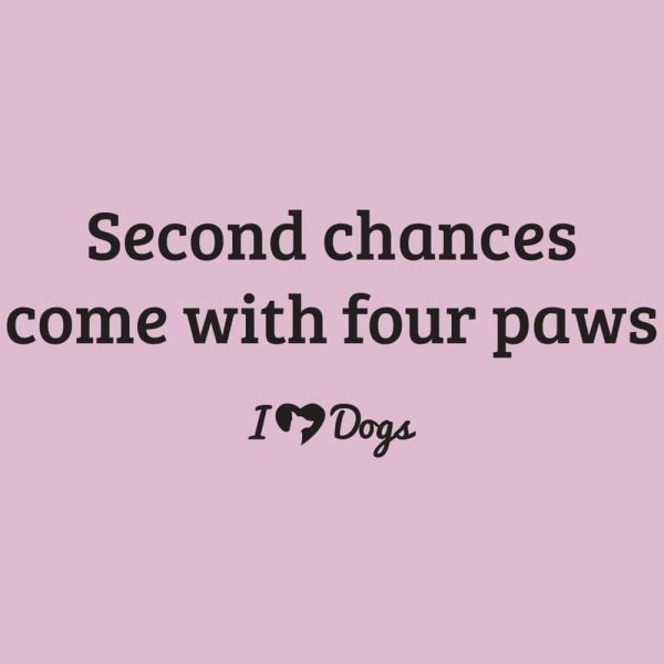 Second Chances Come with Four Paw iHeartDogs Standard Tee Light Pink - Image 2