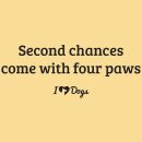 Second Chances Come with Four Paw iHeartDogs Standard Tee Yellow