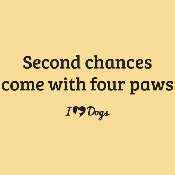 Second Chances Come with Four Paw iHeartDogs Standard Tee Yellow - Image 2
