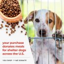 Love Is Free Just Adopt And See iHeartDogs Standard Tee Yellow